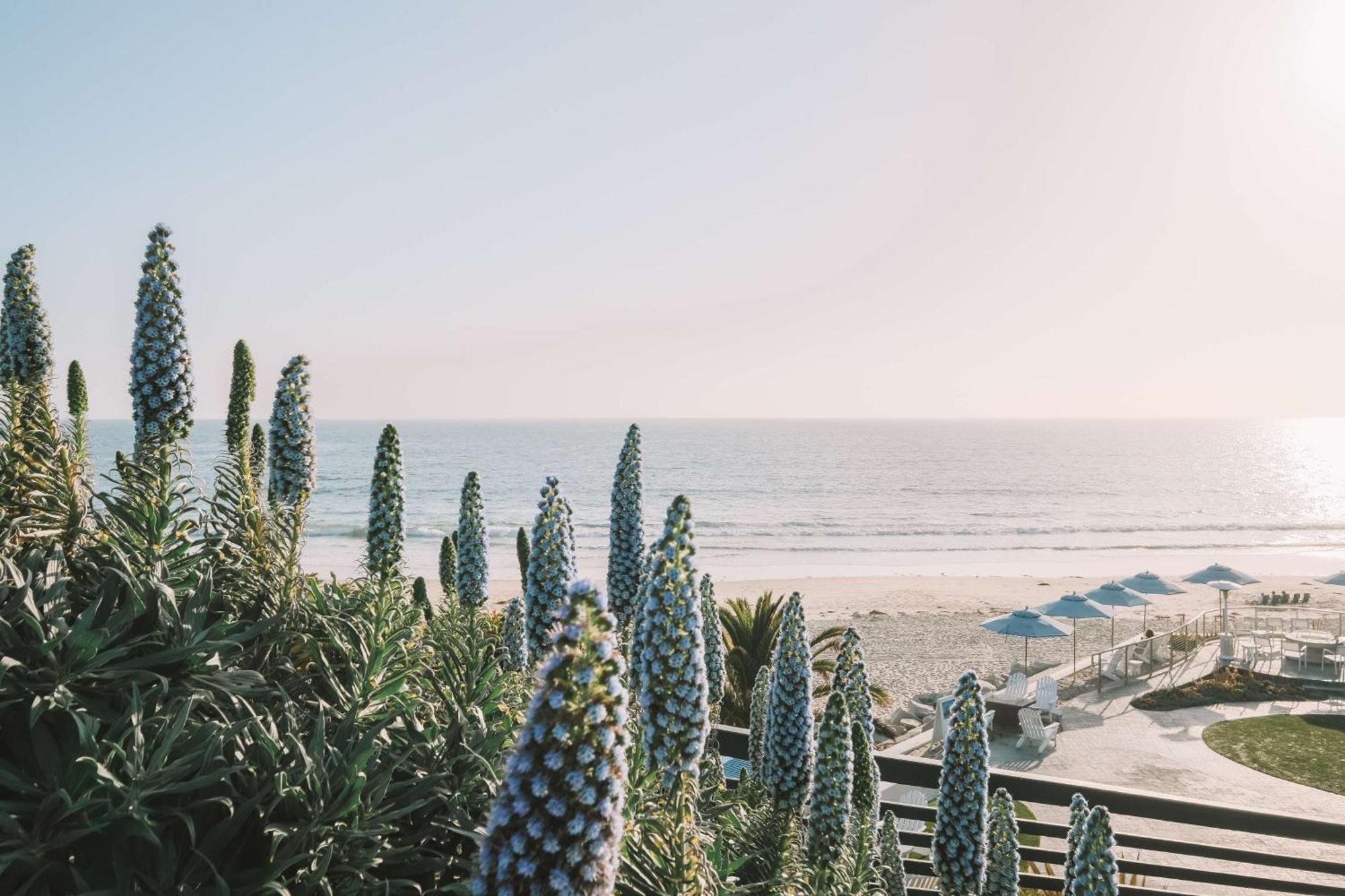 Waldorf Astoria Monarch Beach Resort & Club Dana Point Exterior foto